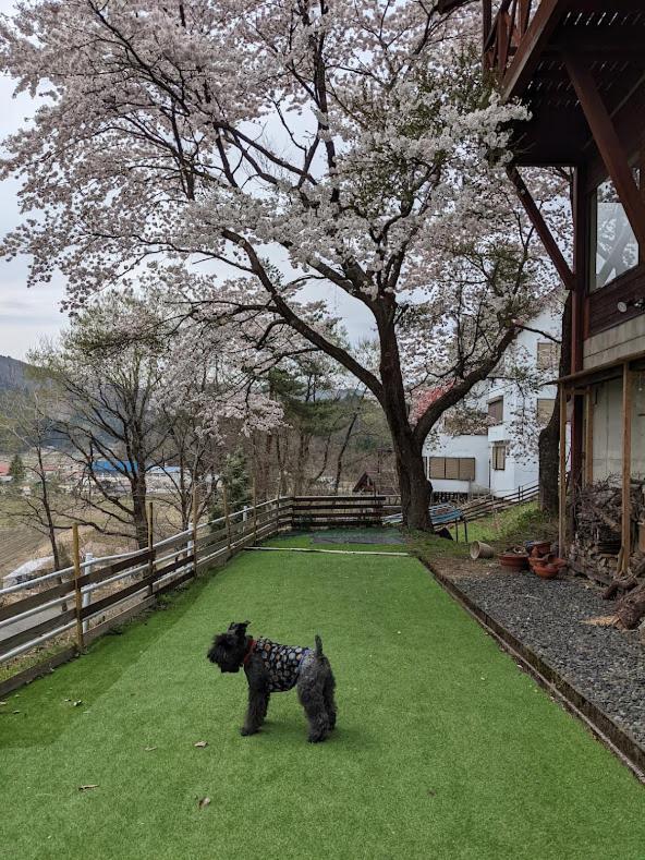 ワンコと泊まるジャスミンクリーク Hotel Toyooka  Exterior photo